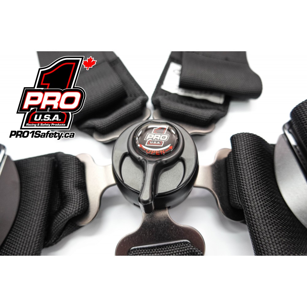 Pro Elite Cam Lock Safety Harness Seat Belts Door Car